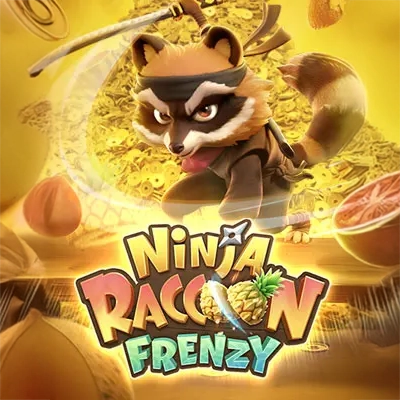 Ninja Raccoon Frenzy